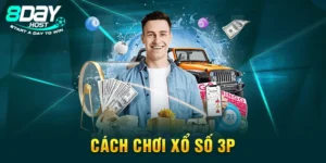 Cách Chơi Xổ Số 3p Có Tỷ Lệ Thắng 99% Cho Anh Em Tân Thủ